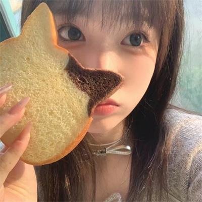 冰原小恐龙